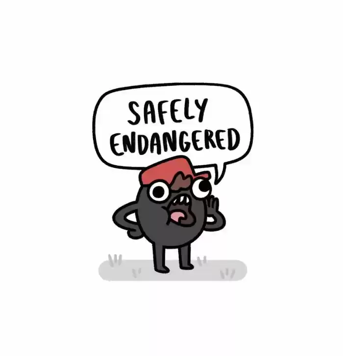 Safely Endangered 145