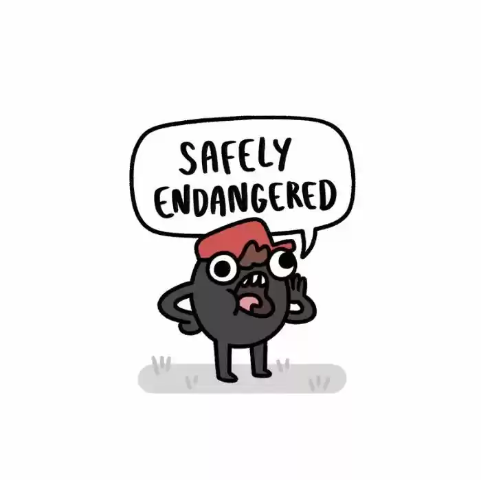 Safely Endangered 146