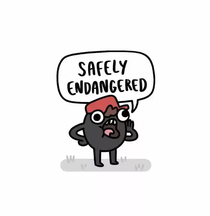Safely Endangered 163