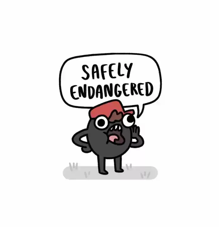 Safely Endangered 172