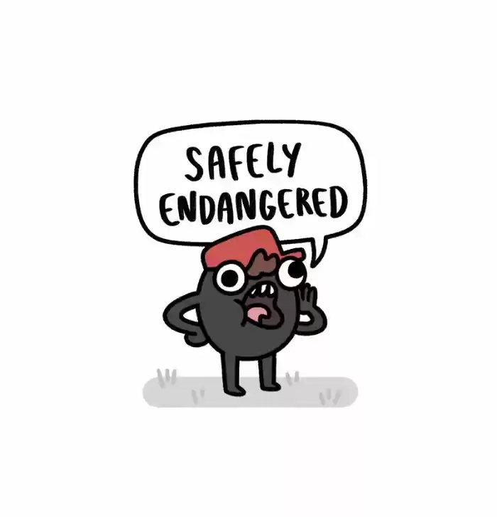 Safely Endangered 175