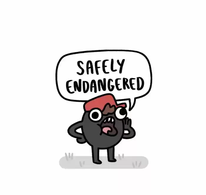 Safely Endangered 191