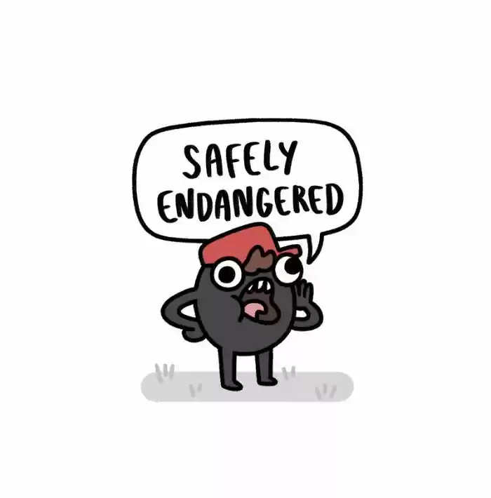 Safely Endangered 196