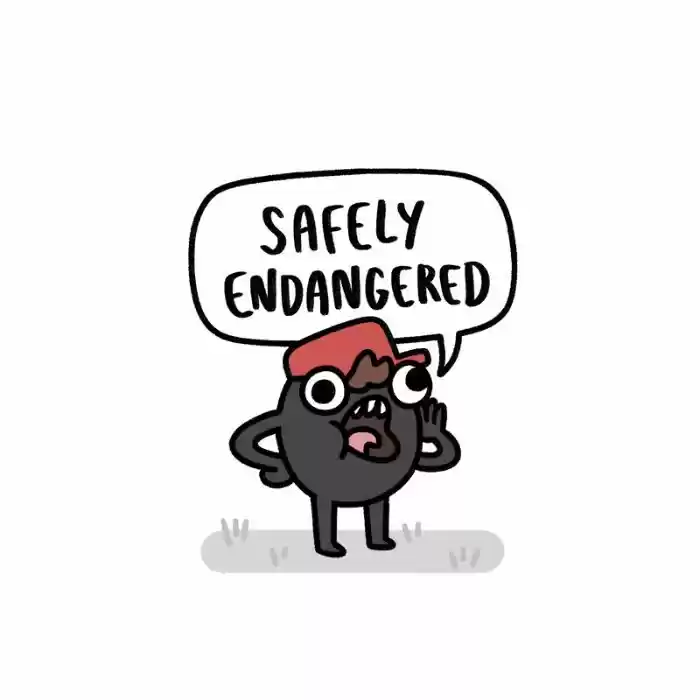 Safely Endangered 206