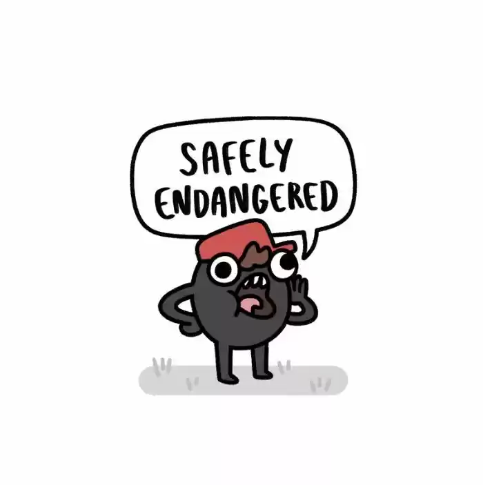 Safely Endangered 210