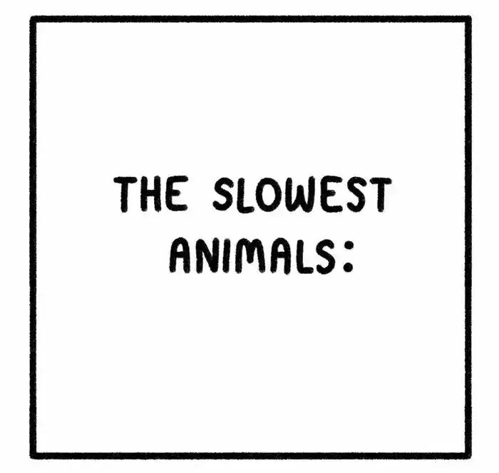 Safely Endangered 231