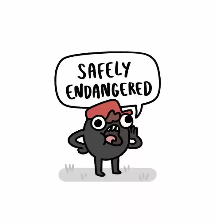 Safely Endangered 241