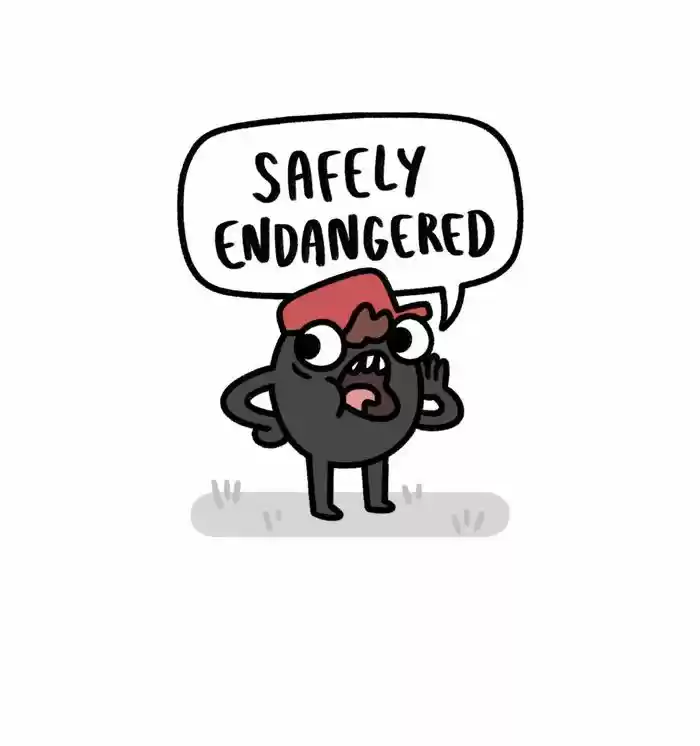 Safely Endangered 241