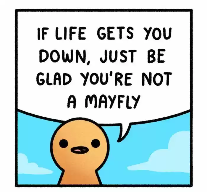 Safely Endangered 244