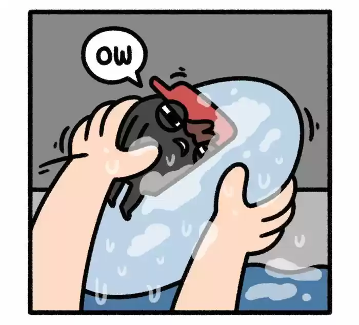 Safely Endangered 247