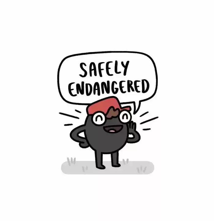 Safely Endangered 255