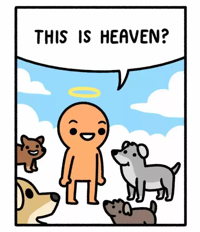 Safely Endangered 258