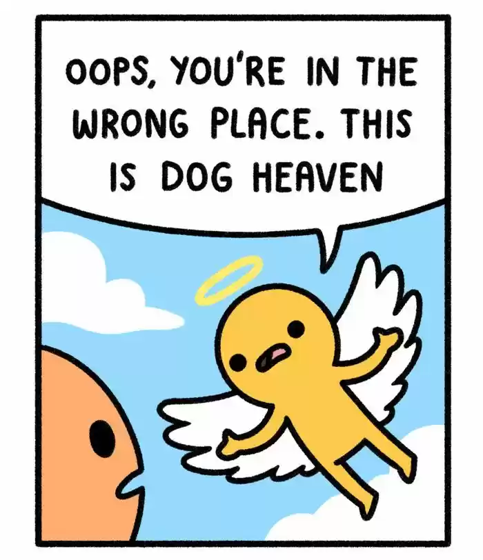 Safely Endangered 258