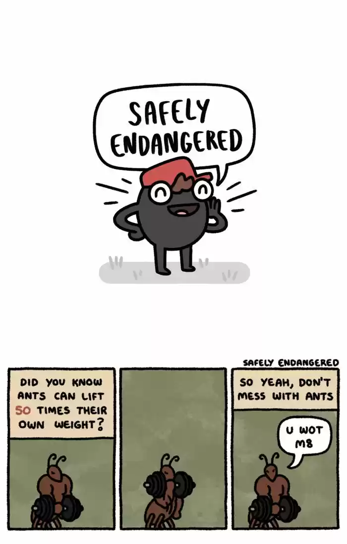 Safely Endangered 260