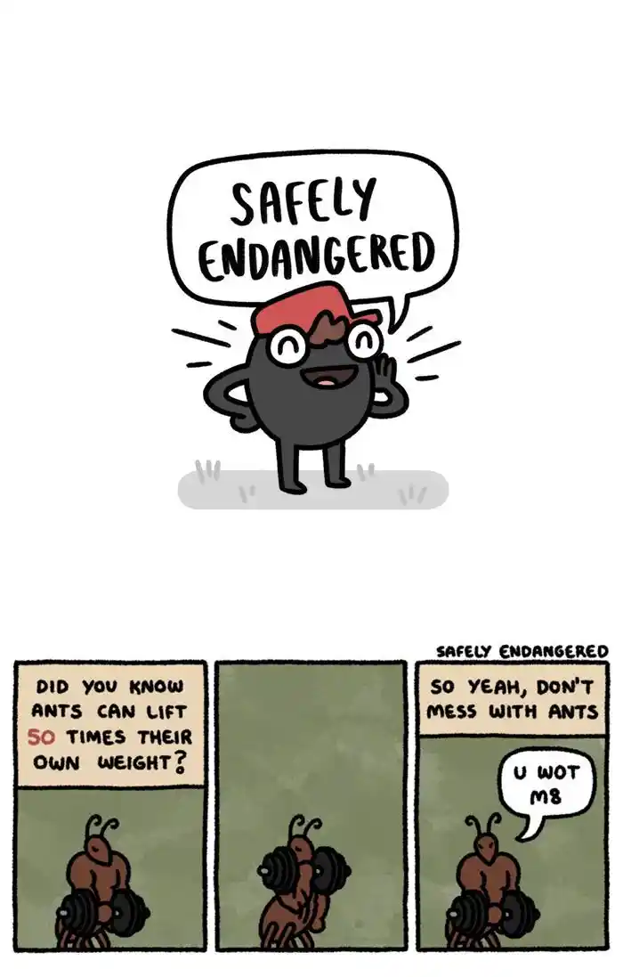 Safely Endangered 260