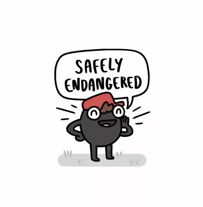 Safely Endangered 275