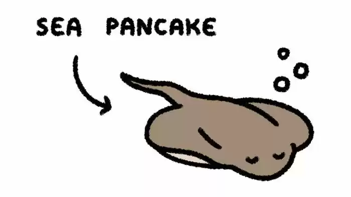 Safely Endangered 28