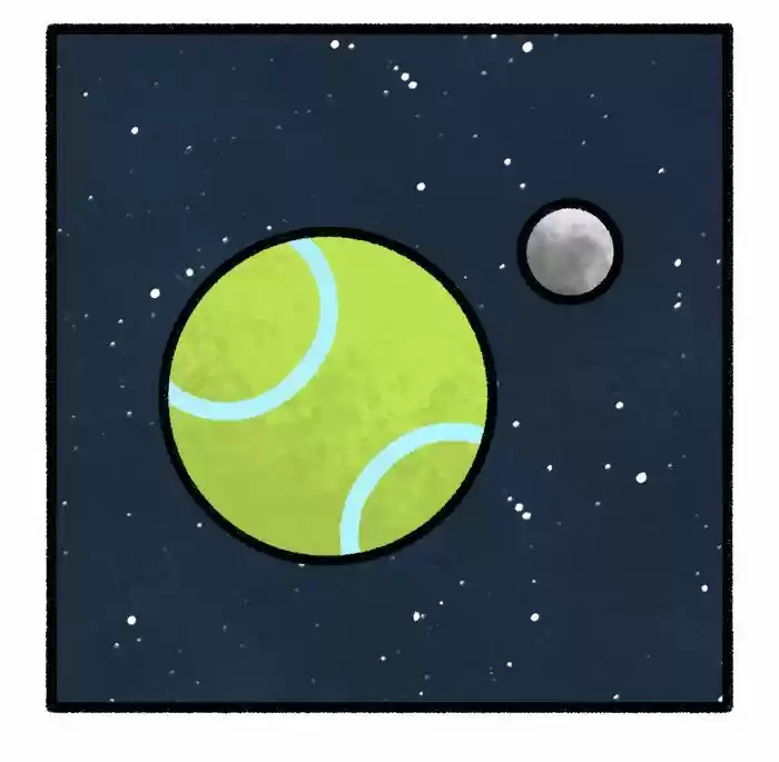 Safely Endangered 291