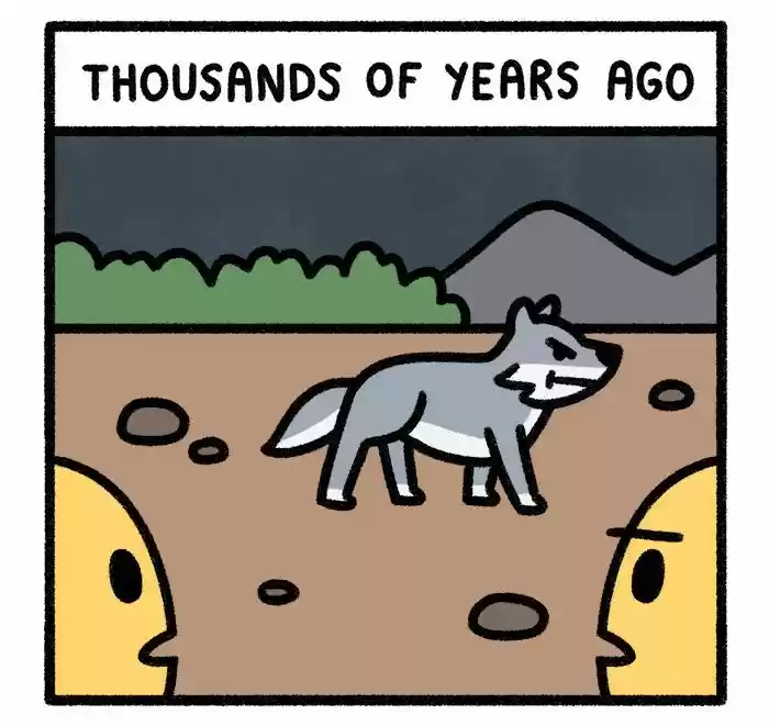 Safely Endangered 301