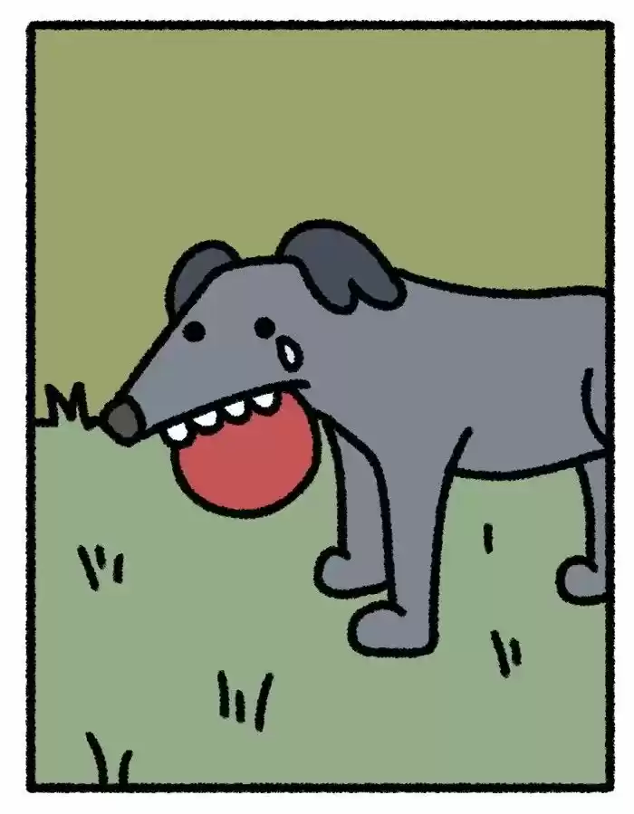 Safely Endangered 31