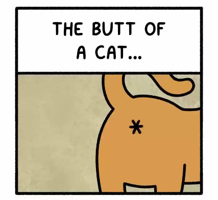 Safely Endangered 311