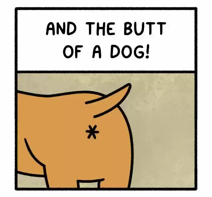 Safely Endangered 311