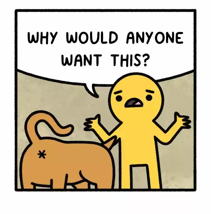 Safely Endangered 311