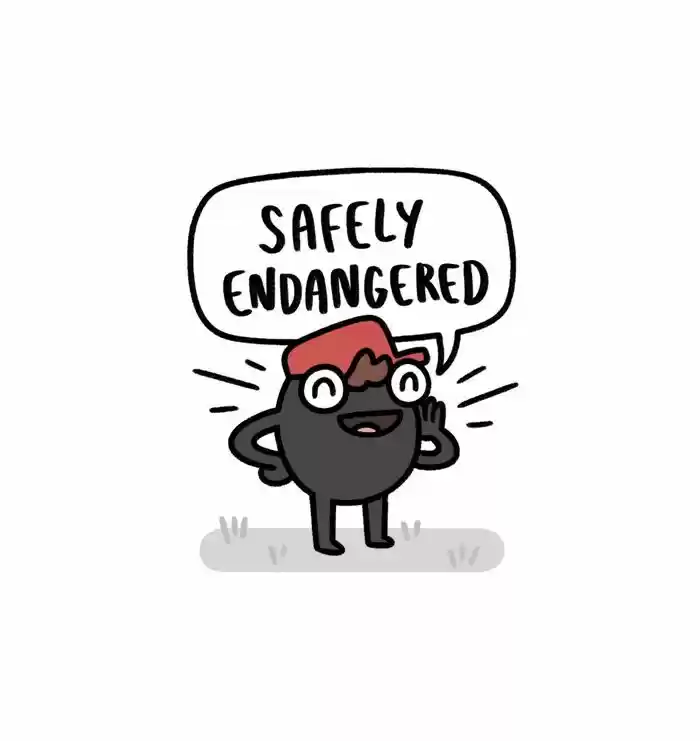 Safely Endangered 321