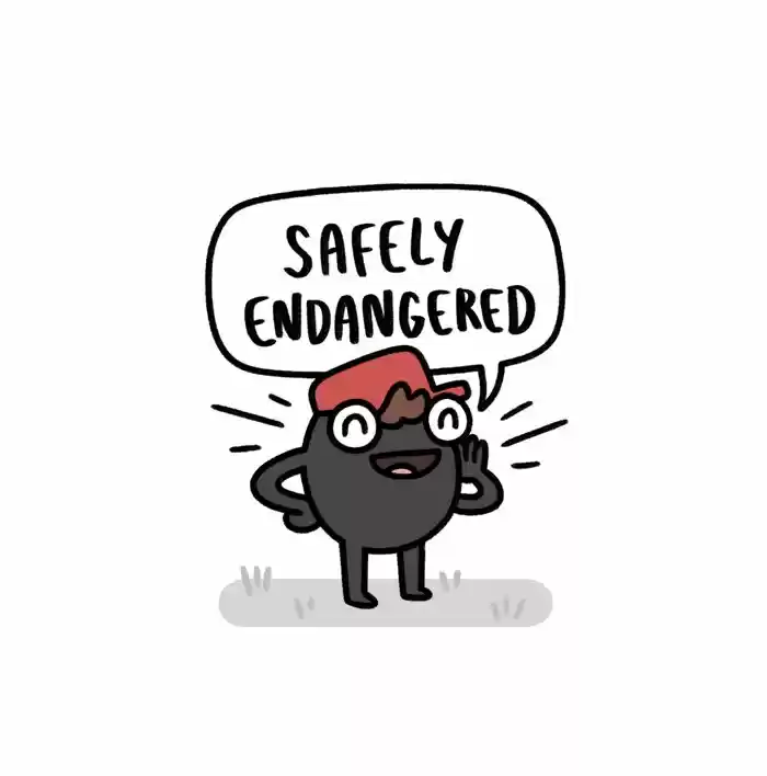 Safely Endangered 335