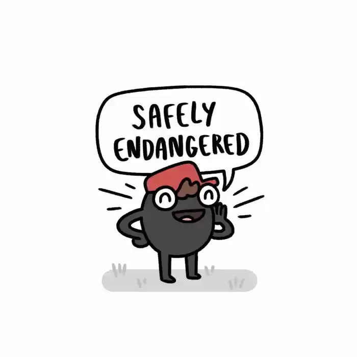 Safely Endangered 347