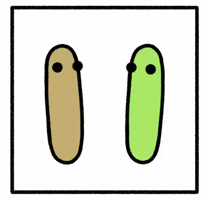 Safely Endangered 350