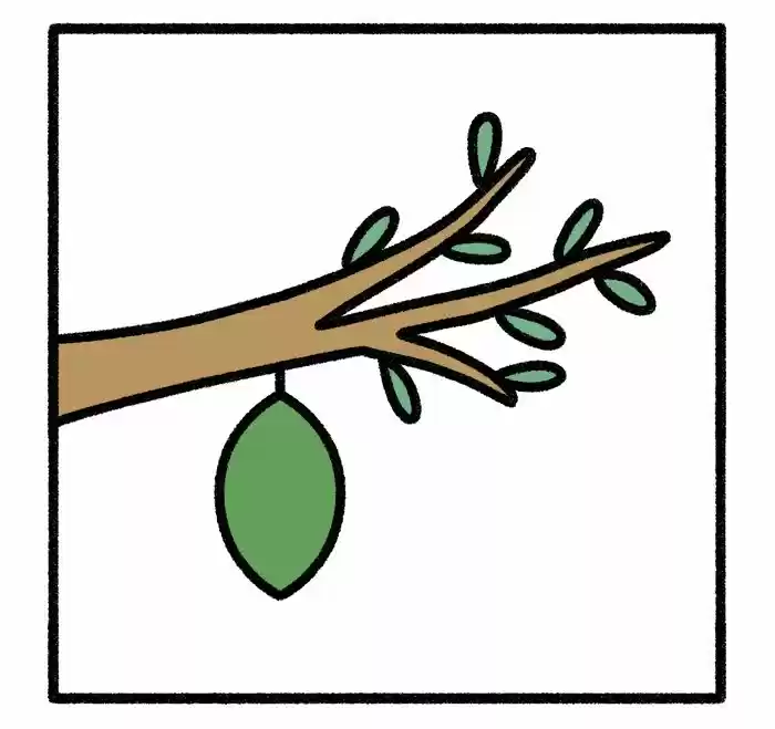 Safely Endangered 375