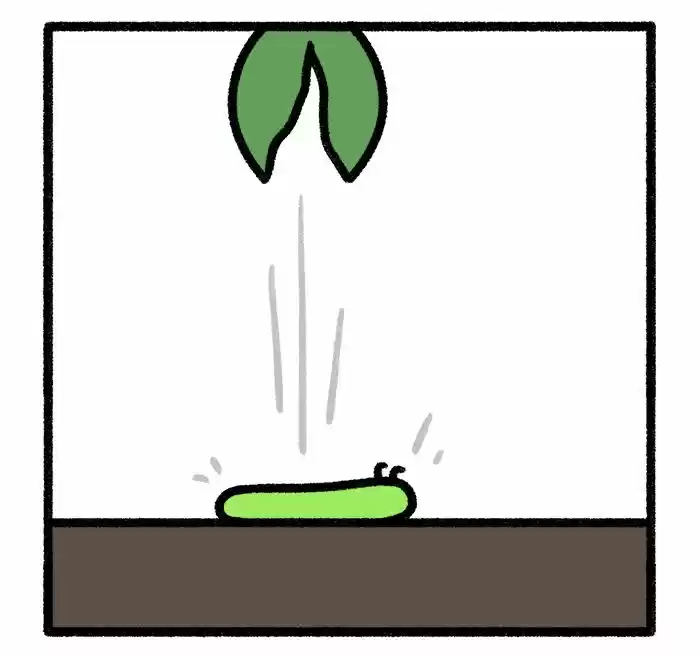 Safely Endangered 375