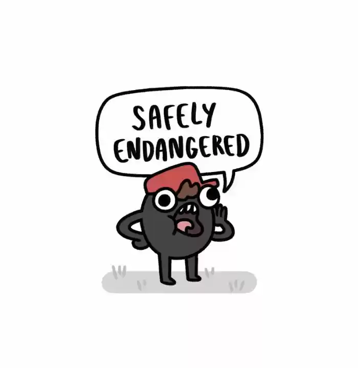 Safely Endangered 66