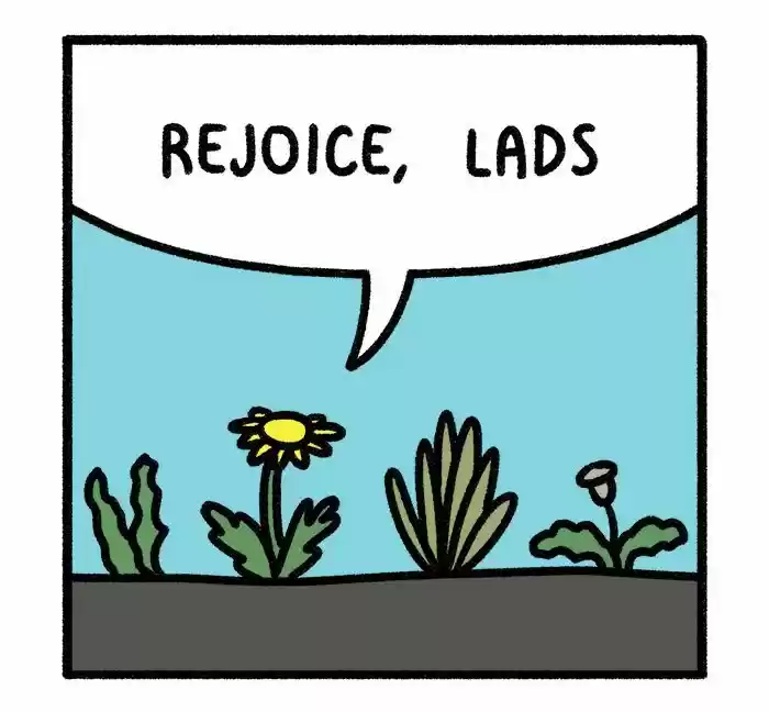 Safely Endangered 81