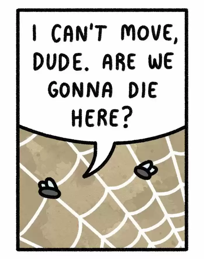 Safely Endangered 86