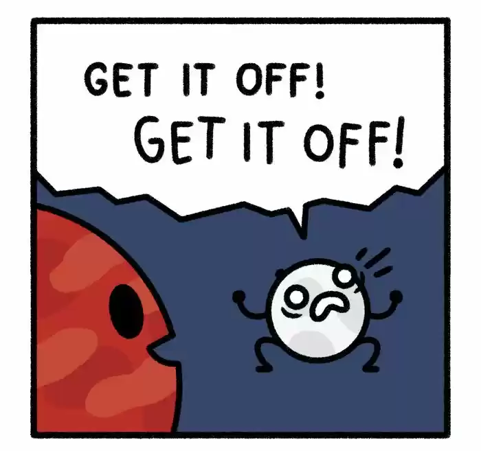 Safely Endangered ch.554