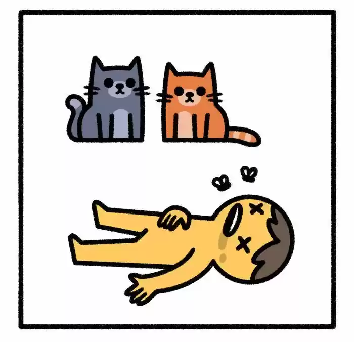 Safely Endangered Ch.570