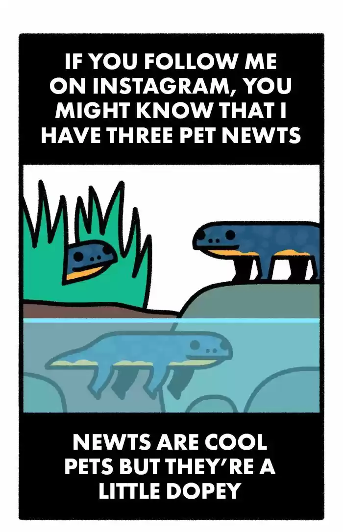 Safely Endangered Ch.577