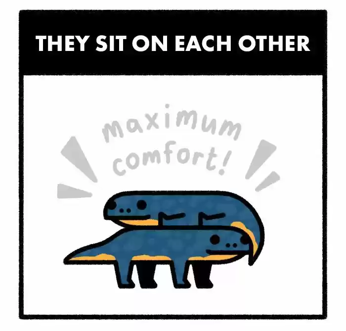 Safely Endangered Ch.577