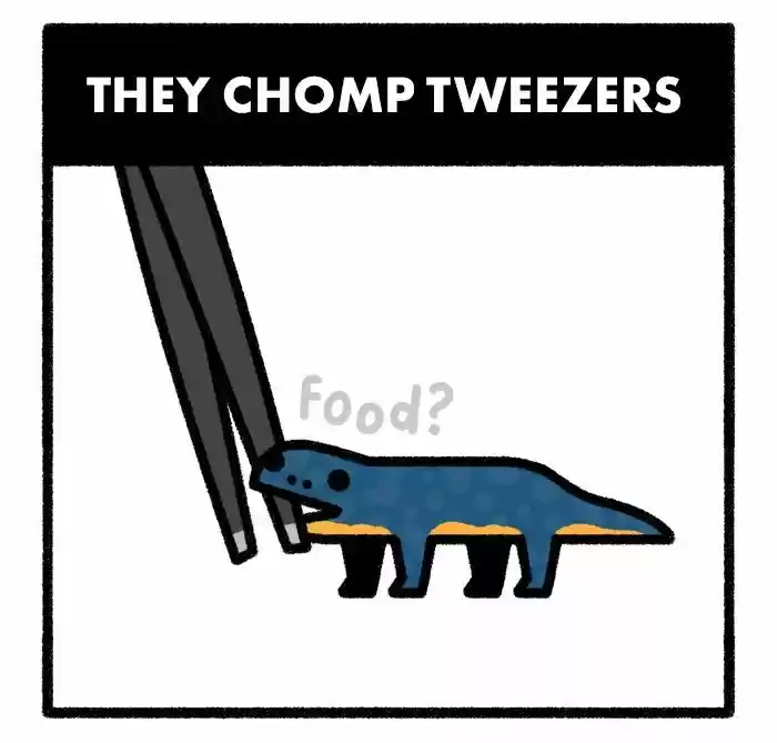 Safely Endangered Ch.577