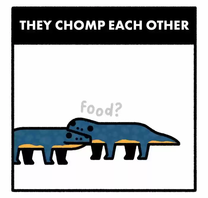 Safely Endangered Ch.577