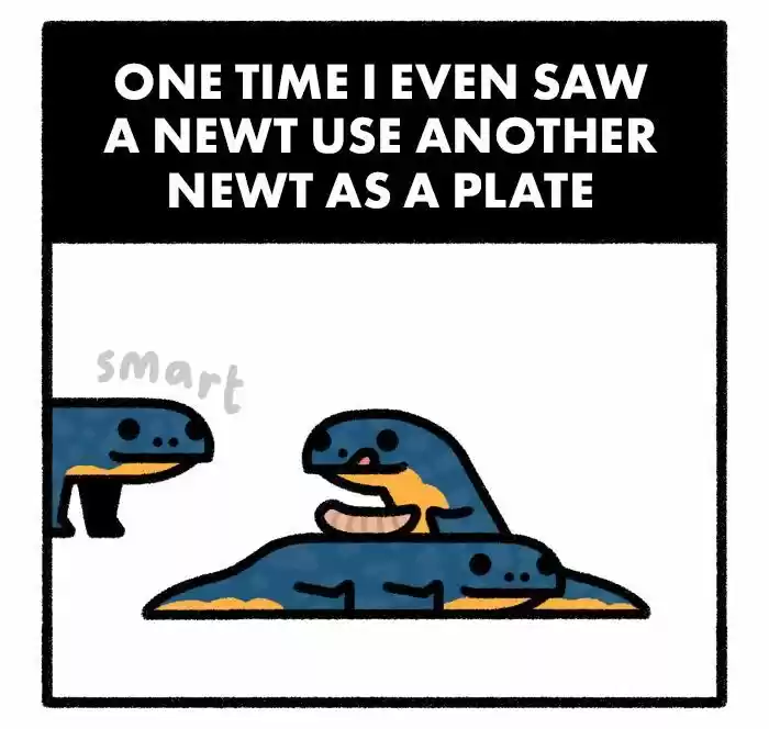 Safely Endangered Ch.577