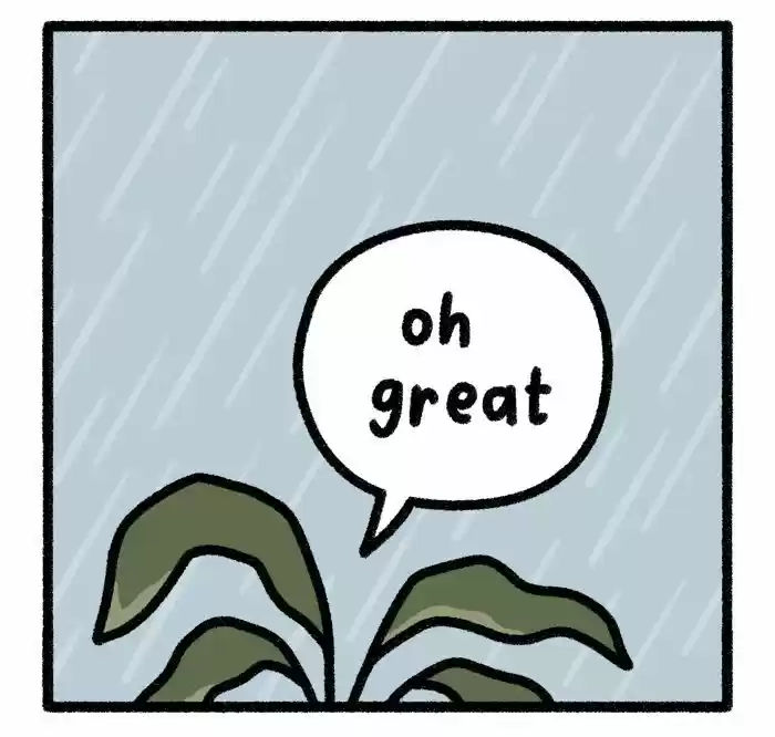 Safely Endangered Ch.593