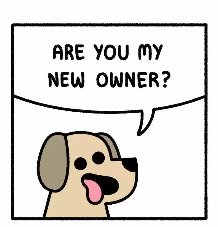 Safely Endangered Ch.643