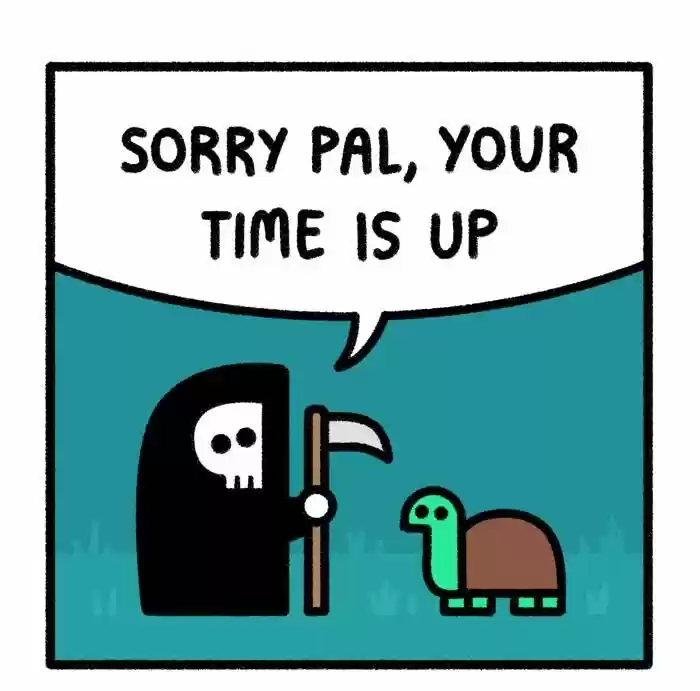 Safely Endangered Ch.663