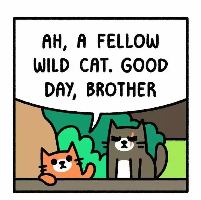 Safely Endangered Ch.762