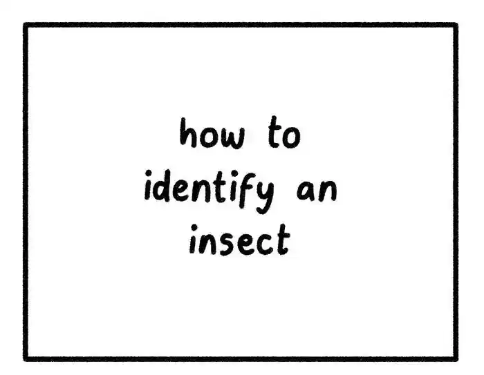 Safely Endangered Chapter 470: Ep.470: