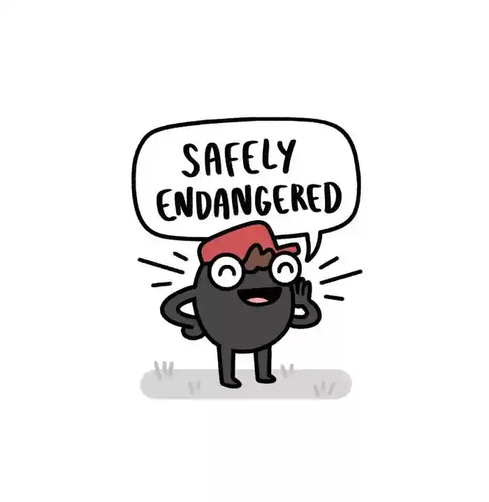 Safely Endangered Chapter 479: Ep.479: