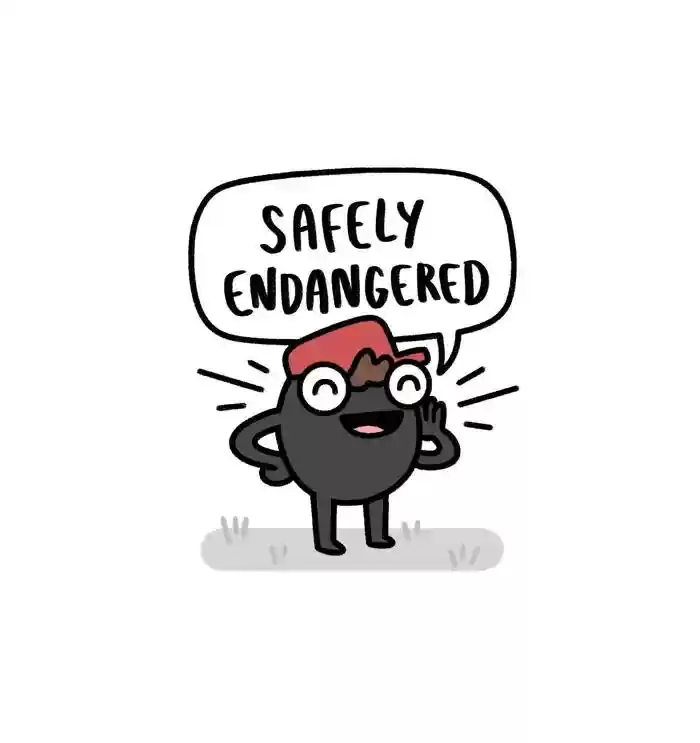 Safely Endangered Chapter 504: Ep.504: